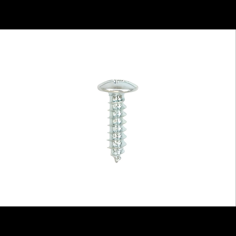 Ridgid 74887 Package of 2 Screws