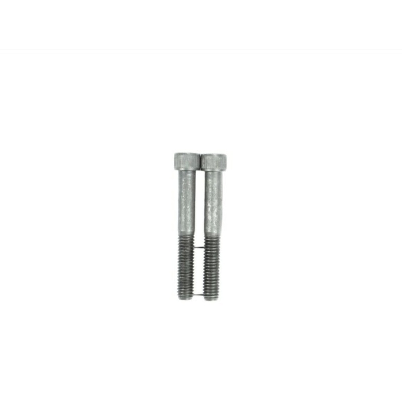 Ridgid 93847 Package Of 2 Screw